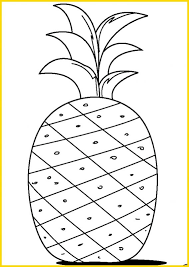Koleksigambarhd.blogspot.com cara menggambar buah buahan yang mudah versi cepat youtube. 100 Sketsa Buah Buahan Terbaik Paling Mudah Digambar Sindunesia