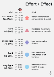 Effective Cardio Training And Why It S Important 8fit 8fit Cardio Workout Guide
