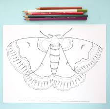 Moths begin their lives as caterpillars. Coloring Page Moth Bee S Knees Industries