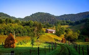 Peste 300 de proiecte pentru dezvoltarea de mici afaceri în mediul rural au fost aprobate. Grupul Roman De Afaceri In Thailanda Grat Romanian Business Group Home Facebook