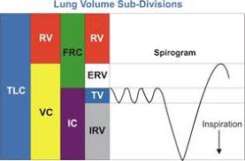 What Is A Pft Test Morgan Scientific Pulmonary Function