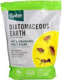 Diatomaceous earth can be used to kill bedbugs, control pests in your garden, exfoliate your skin a: Amazon Com Safer 51703 Diatomaceous Earth Bed Bug Flea Ant Crawling Insect Killer 4 Lb Garden Outdoor