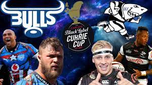 Let us find some more about these sharks to understand them better. Bulls Vs Sharks Currie Cup Final 2021 Live Commentary Youtube