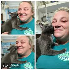 Brain has a new harness