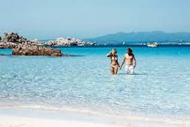 World resources inst‏varmennettu tili @worldresources 29. Blog Delphina News From North Sardinia