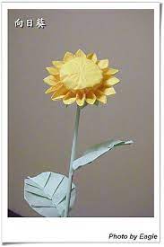 作品名稱向日葵 sunflower 向日葵16 花瓣大花芯美麗的向日葵它總是跟著太陽轉 又叫太陽花 向日葵花語 愛慕 光輝 高傲 熱情 慷慨 燦爛 明亮 溫暖 基本的清楚會了之 origami crafts origami
