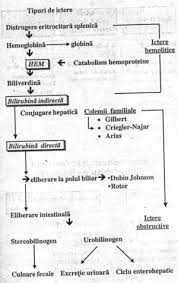 Sindromul citolizei hepatice se dezvoltă secundar dereglărilor integrităţii membranelor plasmatici ale hepatocitelor şi organelor cu ieşirea lor în fluxul sanguin. Explorarea Functionala Hepatobiliara