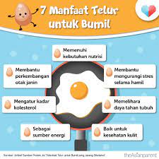 Pin Di Infographic