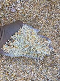 Cracked corn are corn kernels that have been dried and cracked into pieces that are easy for birds to eat. Syfrett Bulk Cracked Corn Sweet Cypress Ranch Inc