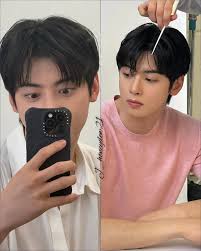 Mr. Felix Cha wants to change his hair colour and asked us what colour  looks good