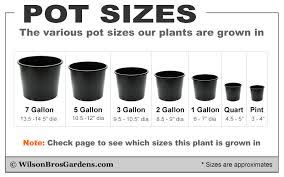 We did not find results for: 4 Gallon Pot Size Novocom Top