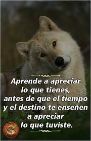 Pin En Frases De Lobos