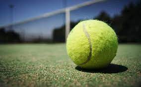 A tennis ball is a ball designed for the sport of tennis. Tennisball Test Empfehlungen 07 21 Fitforbeach