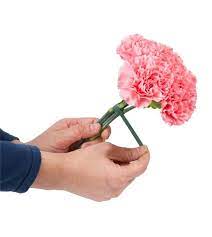 Pin On Flowers Made Dogs