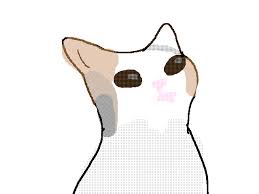 Pop cat blank gif template. Pop Cat Avatar Azula Folioscope