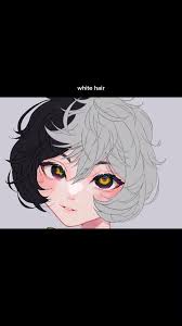 Image result for Picayunes