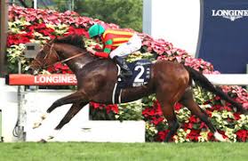 ミステリー エンジェル に16馬身差をつけての圧勝を収めた。 勝ちタイムは2分42秒67 (稍重)。 さらに1.3/4馬身差の3着には7番人気 ディヴァインリー (牝3、j.ヘファナン騎手)が入った。 Jvyrx4zwgvypom