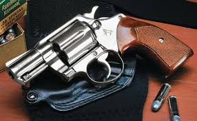 Pin On Guns