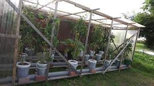 Larry Hall S Rain Gutter Grow System Natural Building Blog