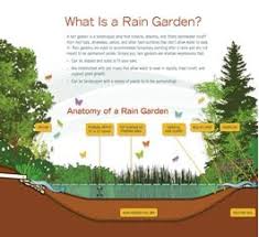 Snoqualmie Valley Master Garden Ask A Rain Garden In The Pacific Northwest Living Snoqualmie Rain Garden Design Rain Garden Garden Types