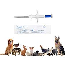 Pets with a microchip implanted in nsw are required by law to be registered on a state based register known as the nsw companion animal reg. Microchip Online Store South Africa Wantitall