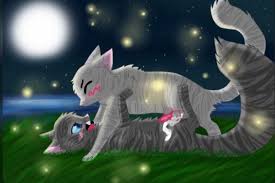 Cinderheart Warrior Cats | sexiezpix Web Porn