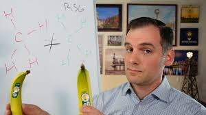 In a Forest Full of Energy Leaders, How Do You Stand Out? — Witting Partners