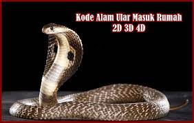 Gaya baru bebek suami istri 71. Kode Alam Ular Masuk Rumah 2d 3d 4d Buku Erek Erek 2021