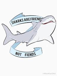 Sharks Are Friends Not Fiends Essential T Shirt By Heliocathus Nix In 2021 Cute Shark Shark Painting Shark