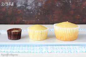 Cupcake Research Tips For Bakers Beyond Frosting