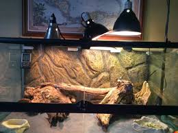Using 100w Powersun Basking Area Not Hot Enough Bearded Dragon Org