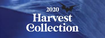 Pumpkin candle warmer and scents of autumn. Scentsy 2020 Harvest Collection Scents By Berni