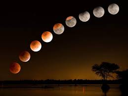 Then came the first sightings of the super blood moon. Lunar Eclipse 2021 Diet Beliefs And Myths Associated With The Celestial Event Times Of India