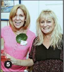 Sea Grape Gallery 30th Anniversary Celebration and Ribbon Cutting, Punta  Gorda