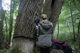 Pin Auf Einfach Schone Fahrradtouren Von Berlin Aus