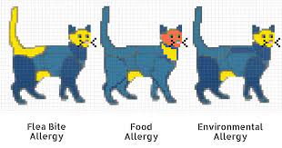 The bald areas don't look round to me. Overgrooming Over Licking Hair Loss In Cats Walkerville Vet