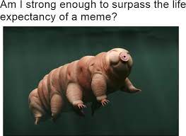We Shall See Memes