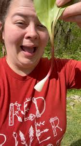 DIY Foraged Firestarters 🔥 Plant...