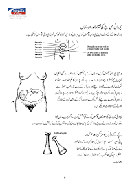 Even though you might want to, you shouldn't rise to the problem. Thyroid In Urdu Meaning Thyroid Stimulating Hormone Meaning In Urdu