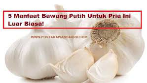Anda pasti bertanya untuk apakah bawang putih yang ditaruh ditelinga? 5 Manfaat Bawang Putih Untuk Pria Ini Luar Biasa Pustakawan Barru