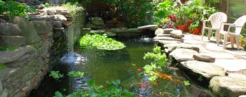 So, it is tranquil and straightforward to. Constructing Your Own Backyard Pond Hartz