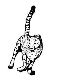 While their spots are among the attributes that make leopards unique among big cats, there are plenty more. Parentune Free Printable Leopard Coloring Pages Leopard Coloring Pictures For Preschoolers Kids