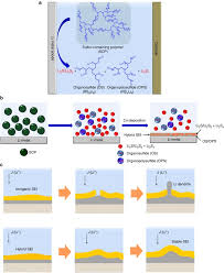 A page for describing characters: Organosulfide Plasticized Solid Electrolyte Interphase Layer Enables Stable Lithium Metal Anodes For Long Cycle Lithium Sulfur Batteries Nature Communications