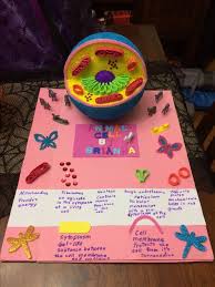 Maybe you would like to learn more about one of these? 12 Animal Cells Ideas Animal Cell Animal Cell Project Cells Project