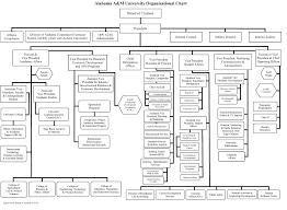 Aamu Organizational Chart