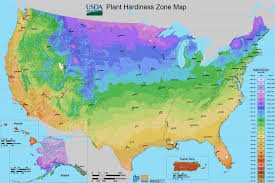 The tree varieties that grow best indoors are those that make their home in warmer climates, such as citrus and exotic fruits. Fruit Tree Growing Zones Cummins Nursery Fruit Trees Scions And Rootstocks For Apples Pears Cherries Plums Peaches And Nectarines