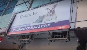 Best English Speaking Vet Clinics In Jakarta Flokq Coliving Jakarta Blog