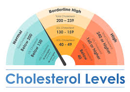 How To Reduce Cholesterol To A Healthy Level In Seniors