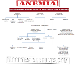 All Types Of Anemia With Full Anemia Definition Chart And