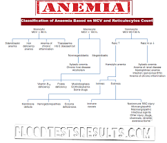 all types of anemia with full anemia definition chart and